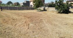 TERRENO AGRICOLO 1000 MQ Licola-Via Masseria Vecchia