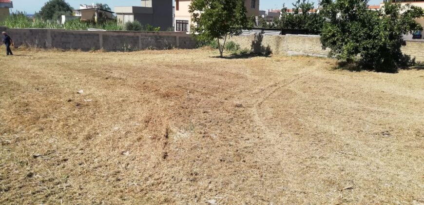 TERRENO AGRICOLO 1000 MQ Licola-Via Masseria Vecchia