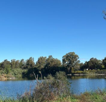 TERRENO EDIFICABILE CON LAGO Castel Volturno