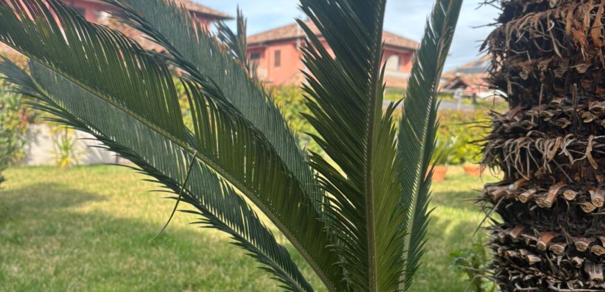 VILLA SINGOLA RISTRUTTURATA Varcaturo-Parco Residence