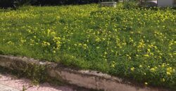 APPARTAMENTO CON GIARDINO Varcaturo