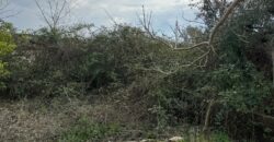 TERRENO CON CASOLARE San Salvatore Telesino