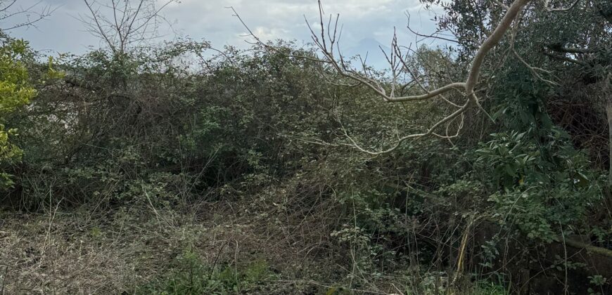 TERRENO CON CASOLARE San Salvatore Telesino