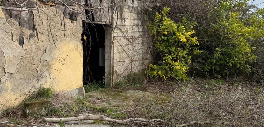 TERRENO CON CASOLARE San Salvatore Telesino