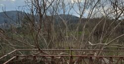 TERRENO CON CASOLARE San Salvatore Telesino