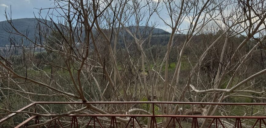 TERRENO CON CASOLARE San Salvatore Telesino