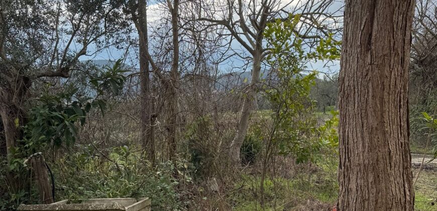 TERRENO CON CASOLARE San Salvatore Telesino