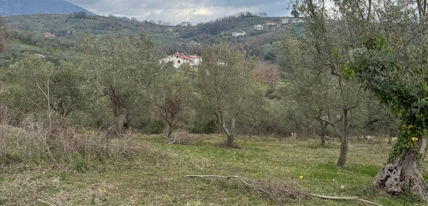 TERRENO CON CASOLARE San Salvatore Telesino