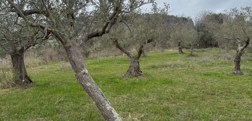 TERRENO CON CASOLARE San Salvatore Telesino