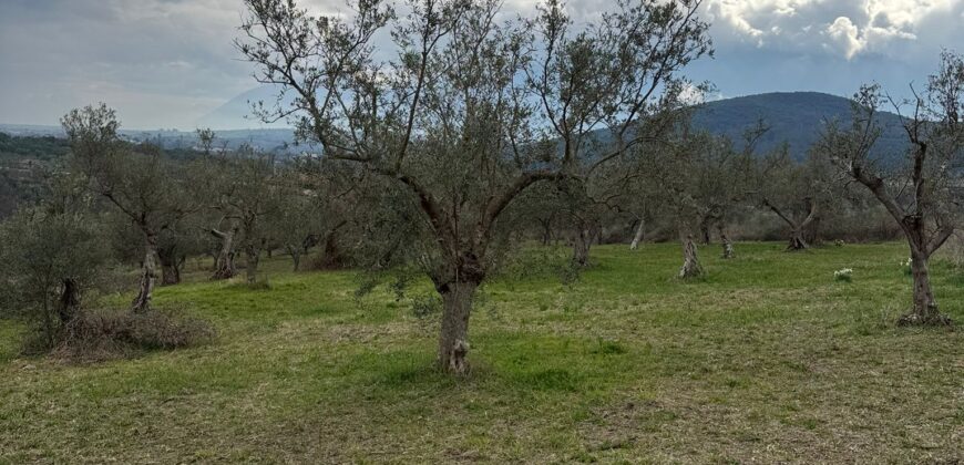 TERRENO CON CASOLARE San Salvatore Telesino