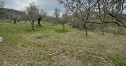 TERRENO CON CASOLARE San Salvatore Telesino