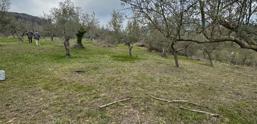 TERRENO CON CASOLARE San Salvatore Telesino
