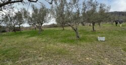 TERRENO CON CASOLARE San Salvatore Telesino