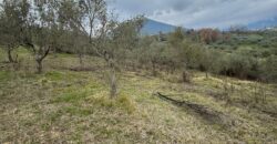 TERRENO CON CASOLARE San Salvatore Telesino