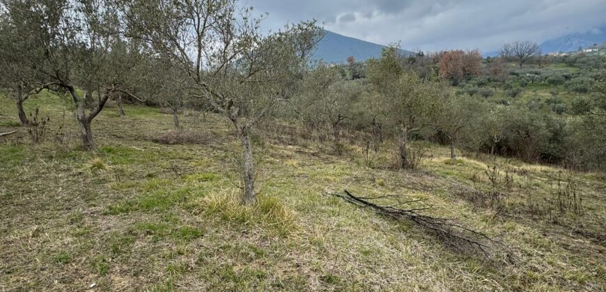 TERRENO CON CASOLARE San Salvatore Telesino
