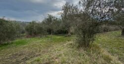 TERRENO CON CASOLARE San Salvatore Telesino