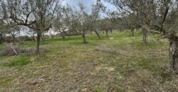 TERRENO CON CASOLARE San Salvatore Telesino