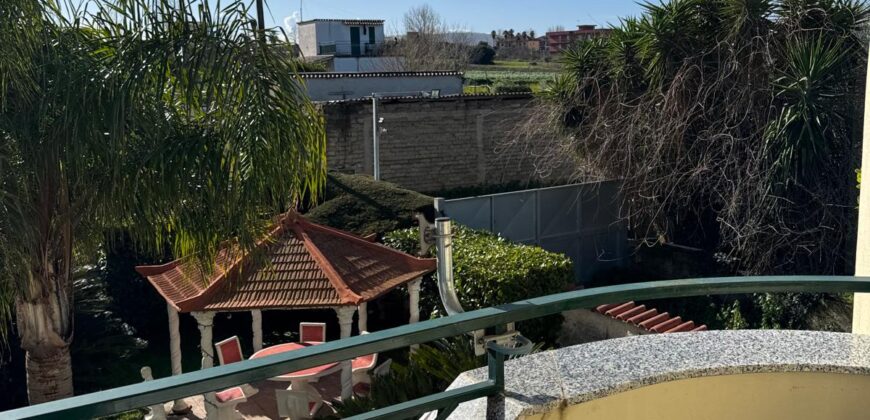 INTERO STABILE Licola