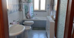 INTERO STABILE Licola