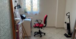 INTERO STABILE Licola