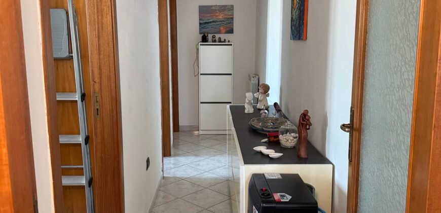 INTERO STABILE Licola