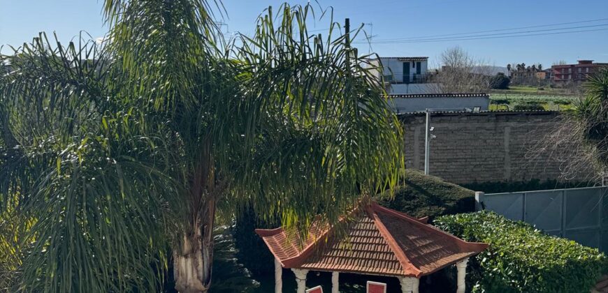 INTERO STABILE Licola