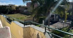 INTERO STABILE Licola