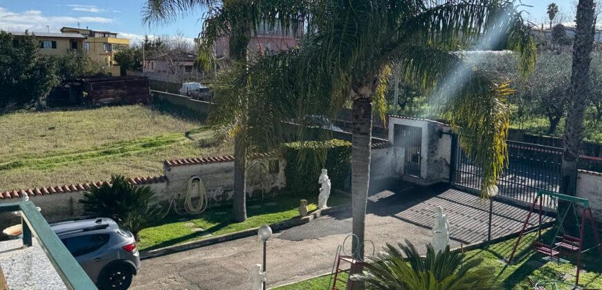 INTERO STABILE Licola