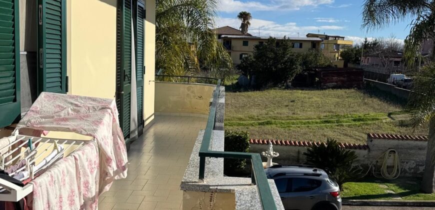 INTERO STABILE Licola