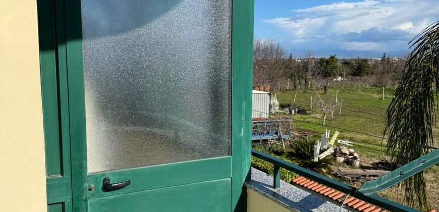 INTERO STABILE Licola