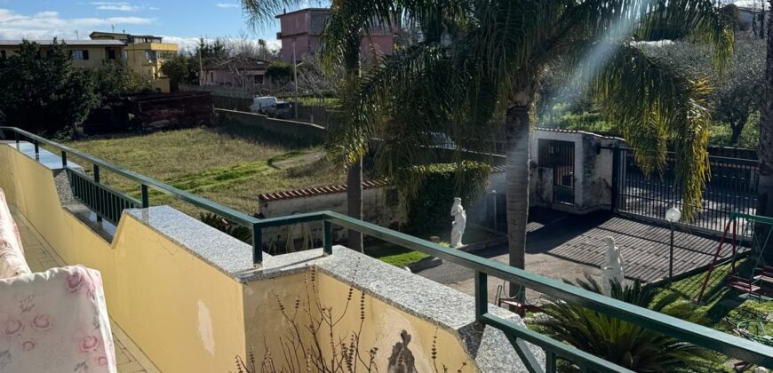 INTERO STABILE Licola