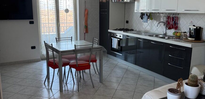 INTERO STABILE Licola