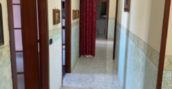 INTERO STABILE Licola