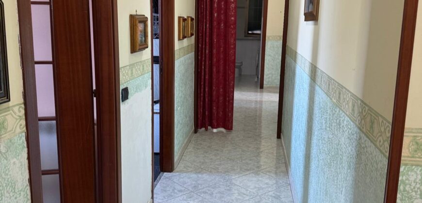 INTERO STABILE Licola