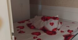 APPARTAMENTO CON GIARDINO Varcaturo