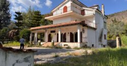 AMPIO CASALE Falciano Del Massico