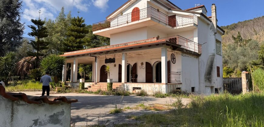 AMPIO CASALE Falciano Del Massico