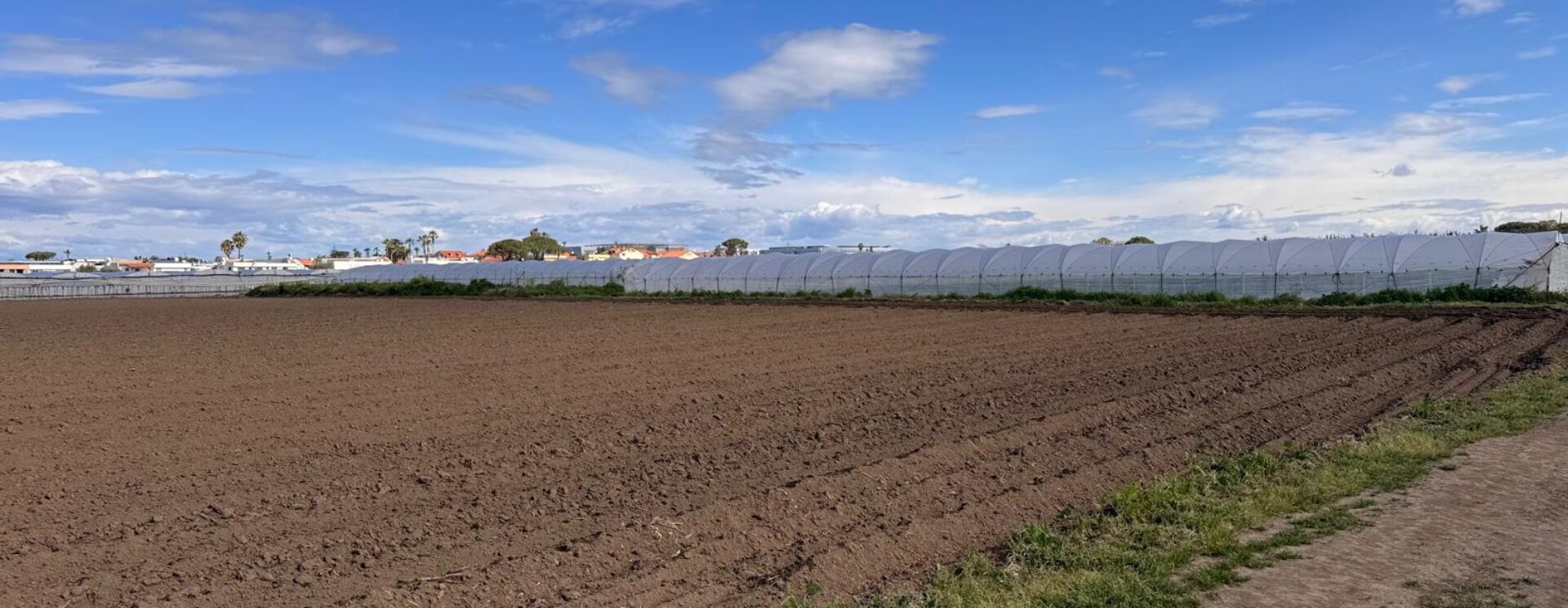 TERRENO AGRICOLO 10000MQ Lago Patria