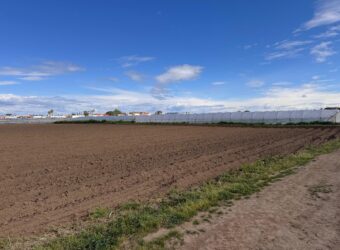 TERRENO AGRICOLO 10000MQ Lago Patria
