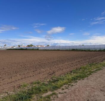 TERRENO AGRICOLO 10000MQ Lago Patria