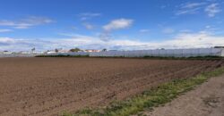 TERRENO AGRICOLO 10000MQ Lago Patria