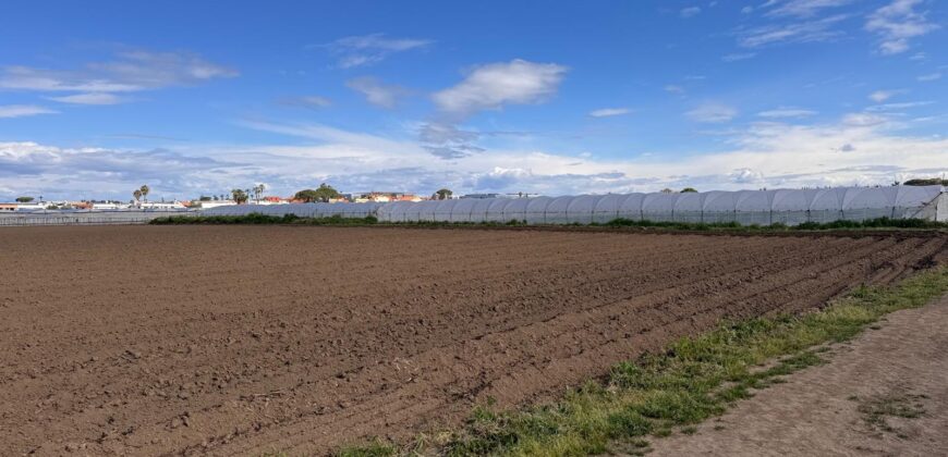TERRENO AGRICOLO 10000MQ Lago Patria