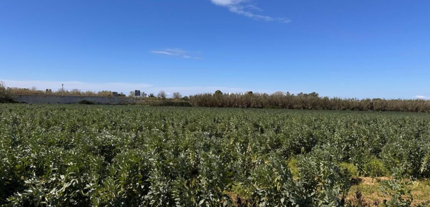 TERRENO AGRICOLO 17200 Varcaturo