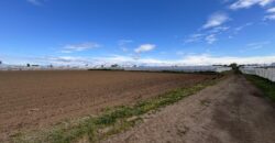 TERRENO AGRICOLO 10000MQ Lago Patria