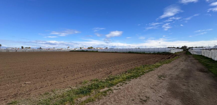 TERRENO AGRICOLO 10000MQ Lago Patria