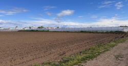 TERRENO AGRICOLO 10000MQ Lago Patria