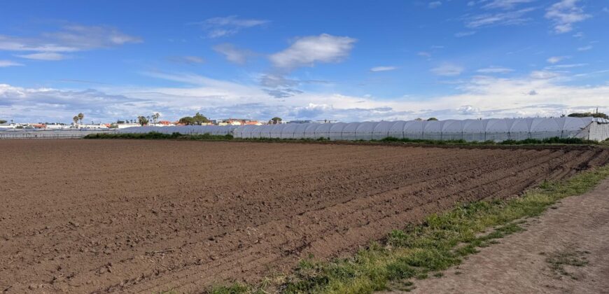 TERRENO AGRICOLO 10000MQ Lago Patria