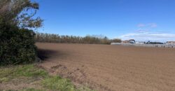 TERRENO AGRICOLO 10000MQ Lago Patria