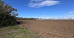 TERRENO AGRICOLO 10000MQ Lago Patria