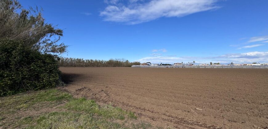 TERRENO AGRICOLO 10000MQ Lago Patria
